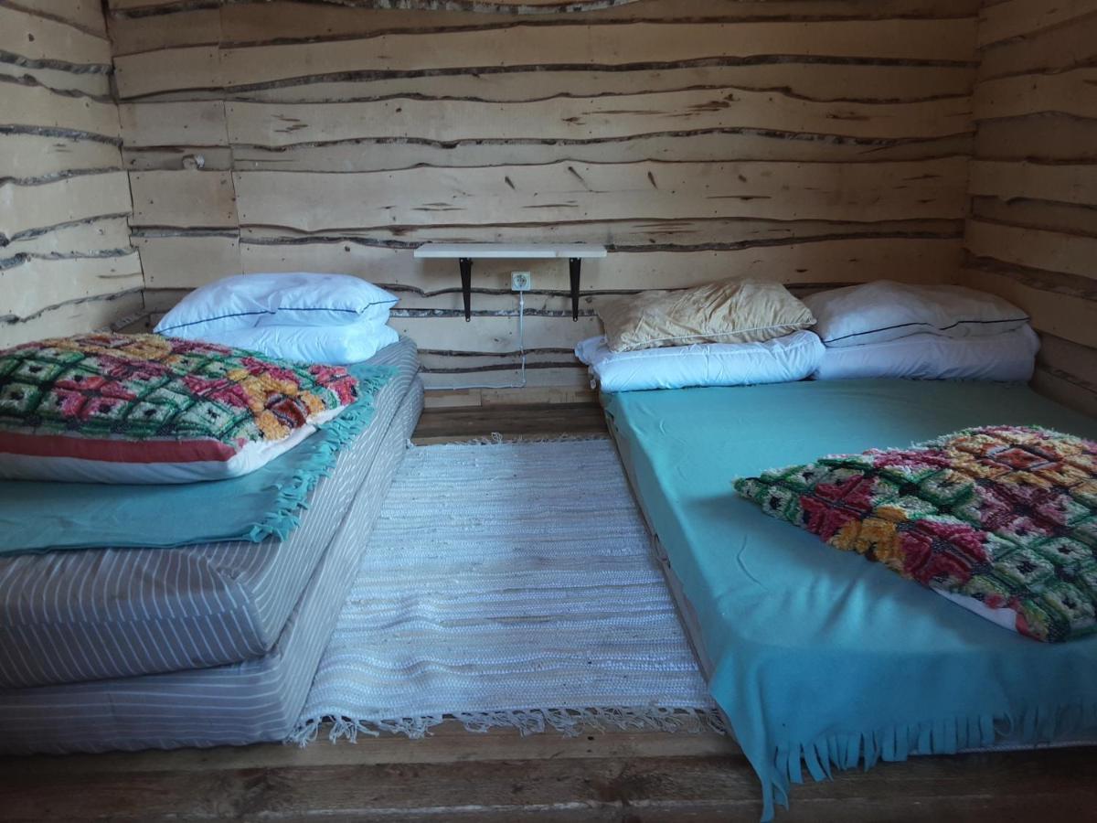 Elulong Camping Lohusuu エクステリア 写真