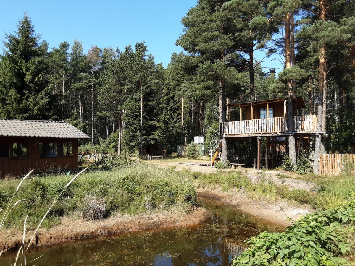 Elulong Camping Lohusuu エクステリア 写真