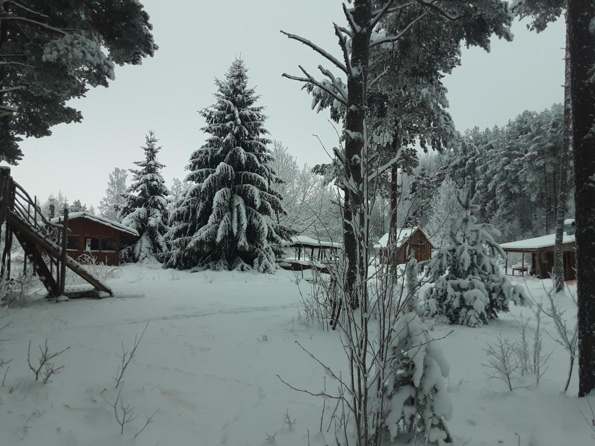 Elulong Camping Lohusuu エクステリア 写真