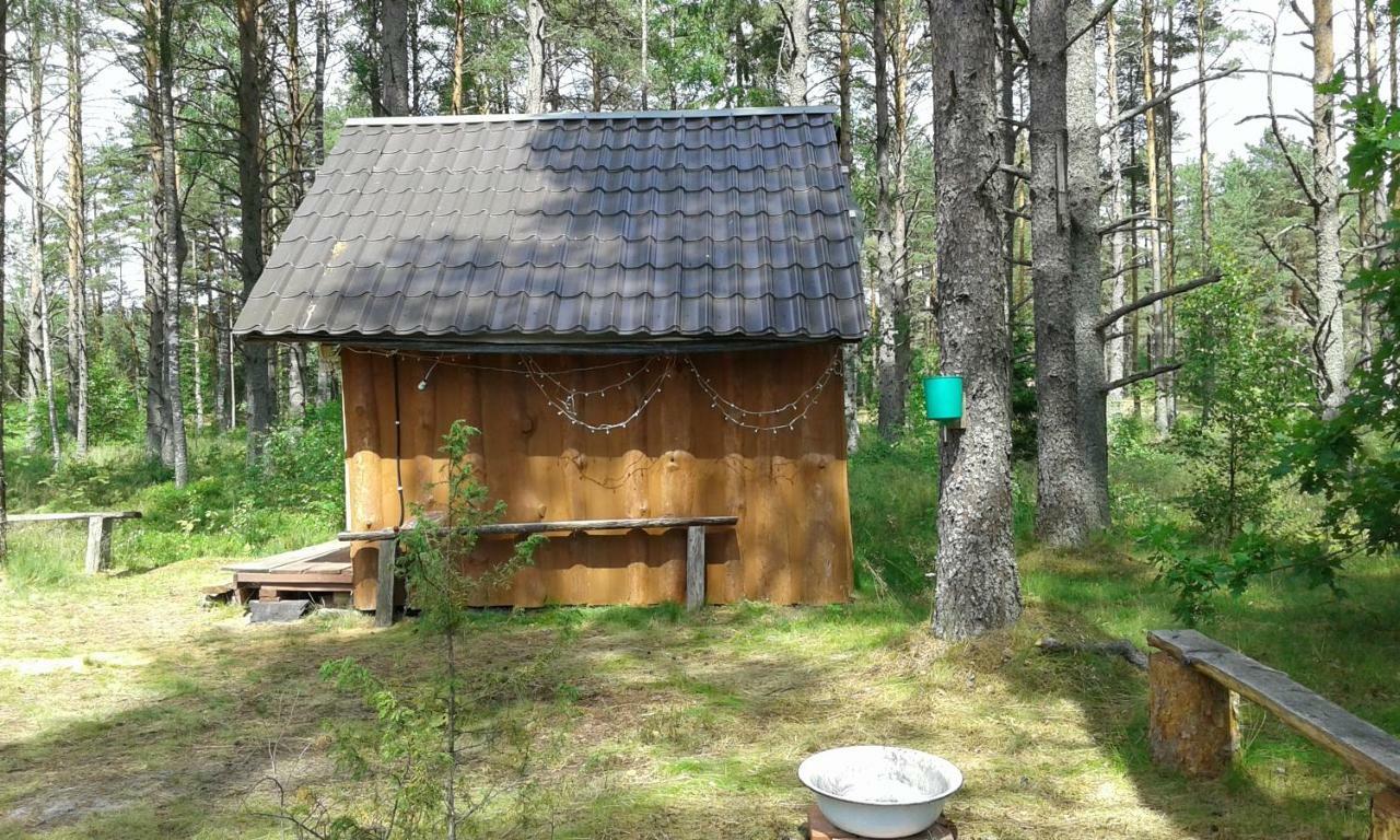 Elulong Camping Lohusuu エクステリア 写真